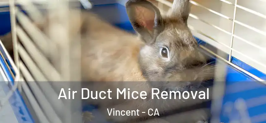  Air Duct Mice Removal Vincent - CA