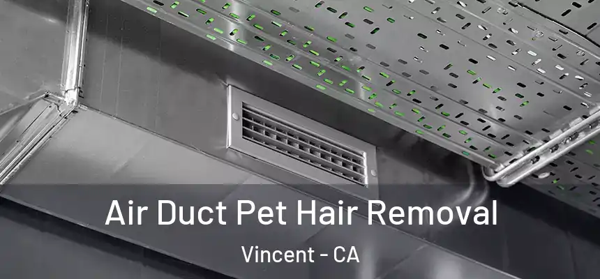  Air Duct Pet Hair Removal Vincent - CA