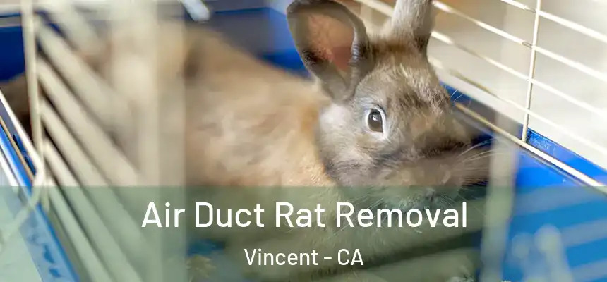  Air Duct Rat Removal Vincent - CA