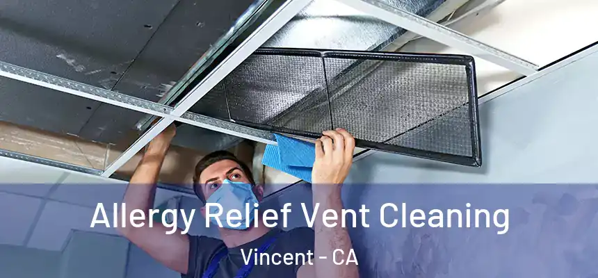  Allergy Relief Vent Cleaning Vincent - CA