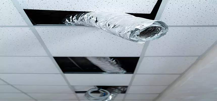 Our Air Duct Pet Hair Removal Services in Vincent, CA