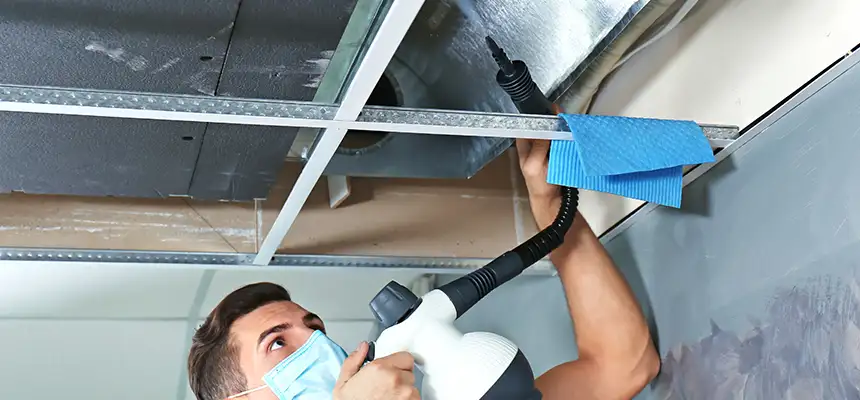 Our Air Duct Rodent Removal Services in Vincent, CA
