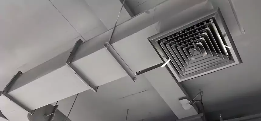 Restorative Allergy Relief Vent Cleaning – Coil, Blower & Housing Detail in Vincent