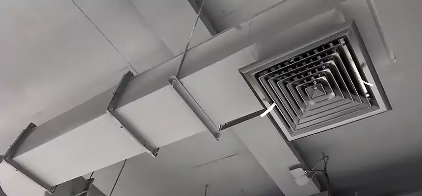 Our Pest Removal From Ducts Services in Vincent, CA