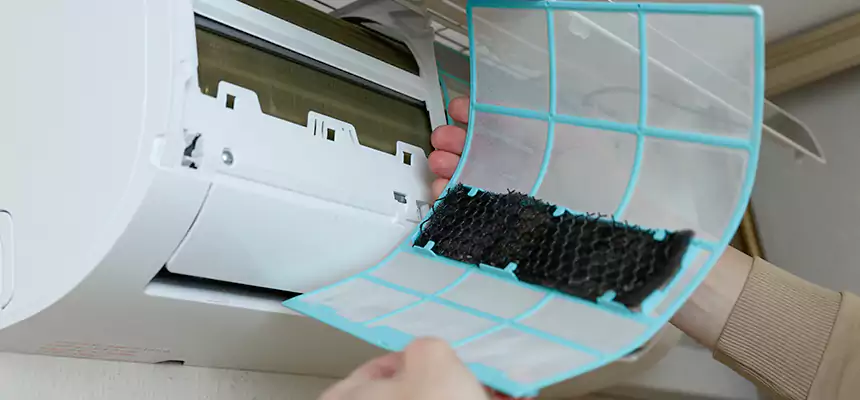 Gentle Ductwork Odor-Control Pet Dander Duct Cleaning in Vincent, CA