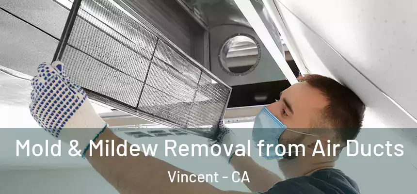  Mold & Mildew Removal from Air Ducts Vincent - CA