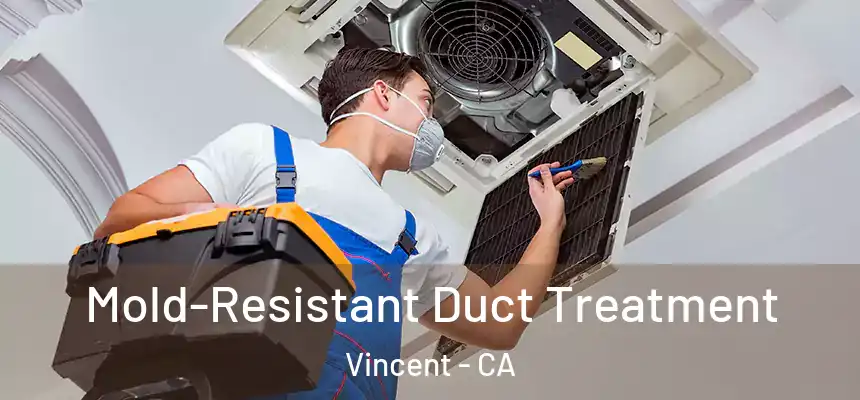  Mold-Resistant Duct Treatment Vincent - CA