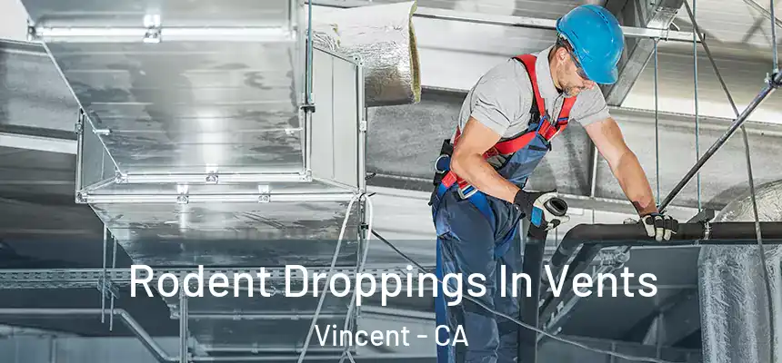  Rodent Droppings In Vents Vincent - CA