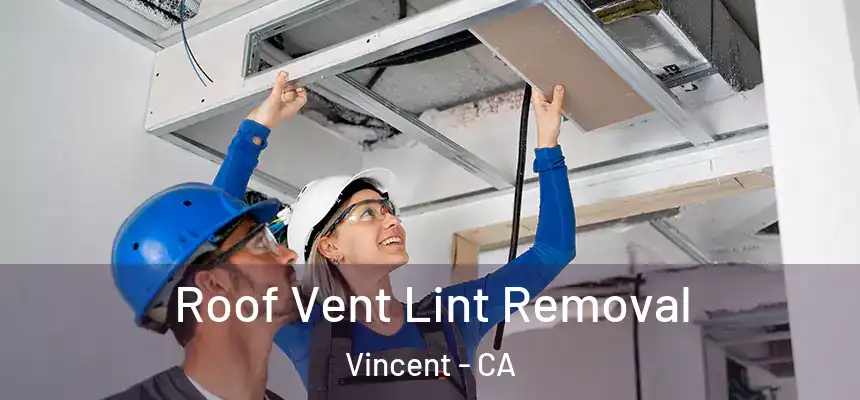  Roof Vent Lint Removal Vincent - CA