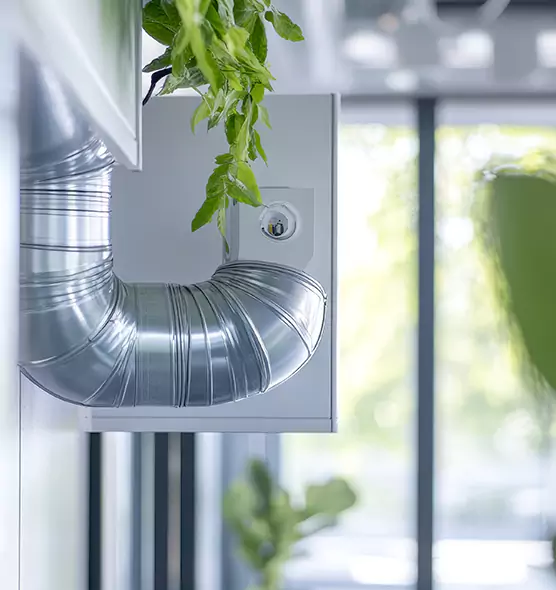 Professional Eco-Friendly Duct Cleaning Services in Vincent, CA