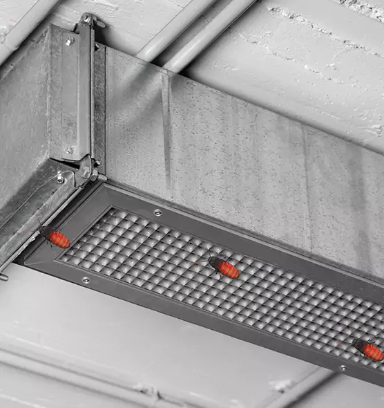 Affordable Insect Removal from Air Ducts in Vincent, CA