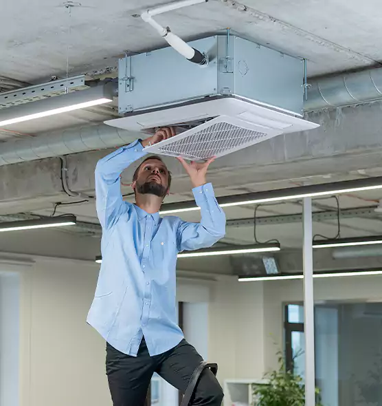 Advanced Rodent Droppings In Vents in Vincent, CA