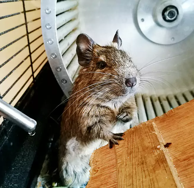 Why Homeowners & Businesses Trust Us Vincent, CA