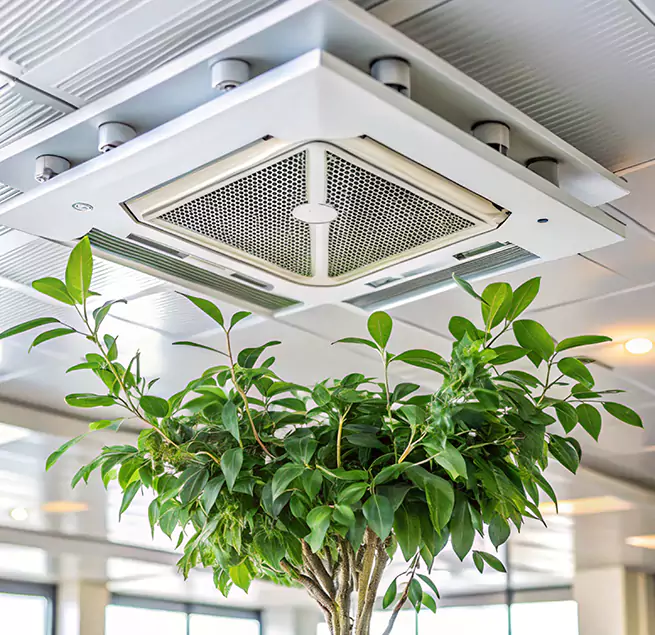 Why Homeowners & Businesses Trust Us in Vincent, CA